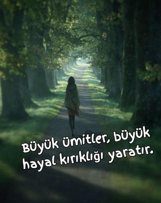 hayal