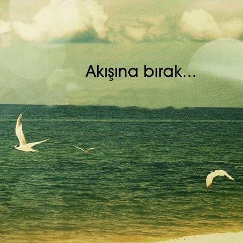 Akışına bırakmaya değmez mi şu hayat..