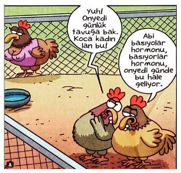 Okumadan Geçme: Üniversiteye Yeni Başlayacak Olanlara Verilebilecek Altın Tavsiyeler!