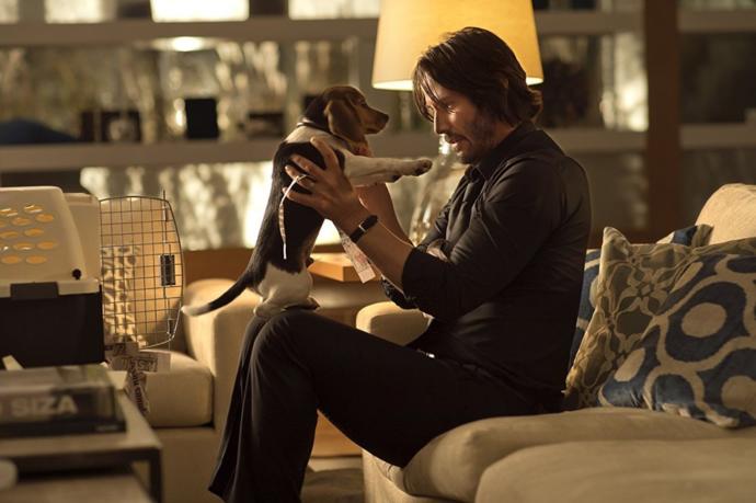 John Wick ve Beagle türü köpeği