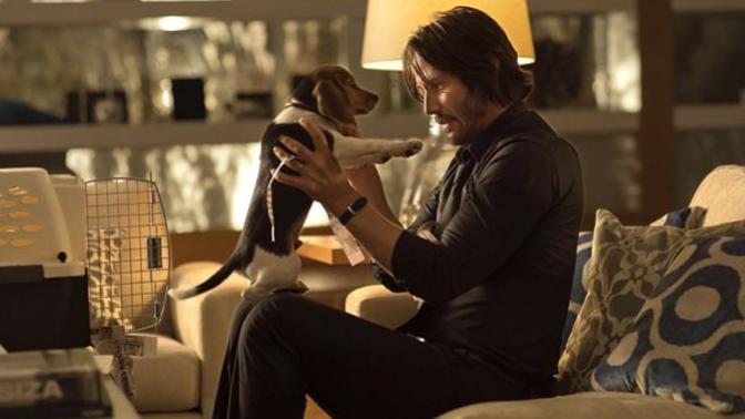 Kesintisiz Aksiyonun Başkenti olan John Wick Serisinin İncelemesi