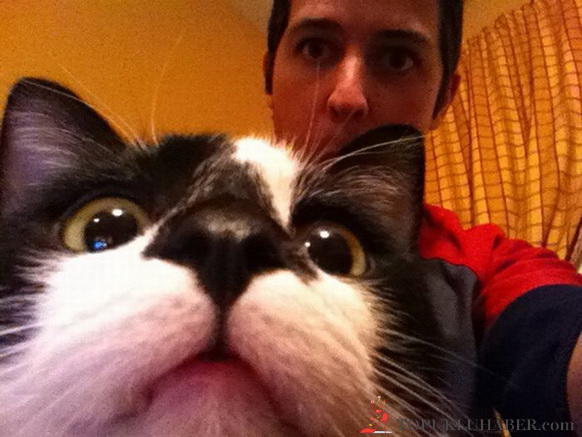 Davetsiz Misafirlerin Sabote Ettiği 10 Fotoğraf!