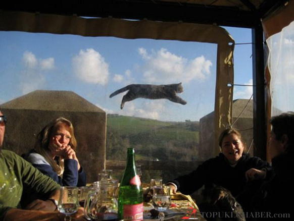 Davetsiz Misafirlerin Sabote Ettiği 10 Fotoğraf!