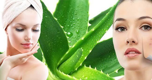 Doğanın Bize Hediyesi Aloe Vera Bitkisi ve Mucizeleri!