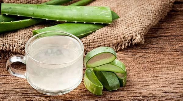 Doğanın Bize Hediyesi Aloe Vera Bitkisi ve Mucizeleri!