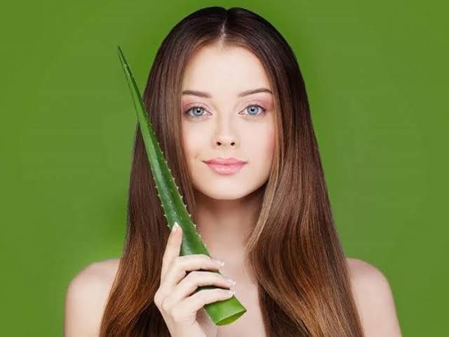 Doğanın Bize Hediyesi Aloe Vera Bitkisi ve Mucizeleri!