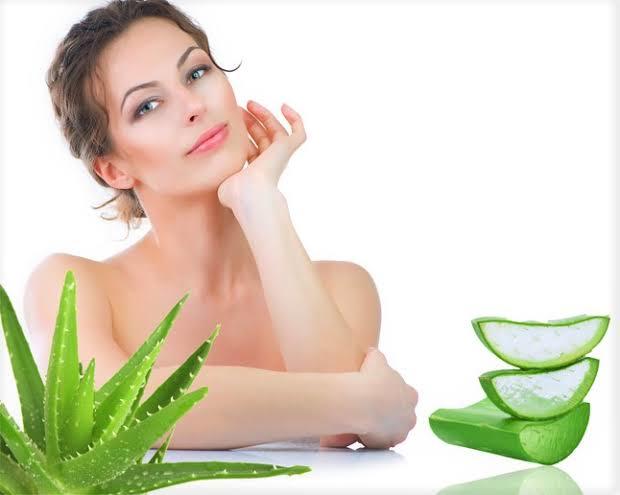 Doğanın Bize Hediyesi Aloe Vera Bitkisi ve Mucizeleri!