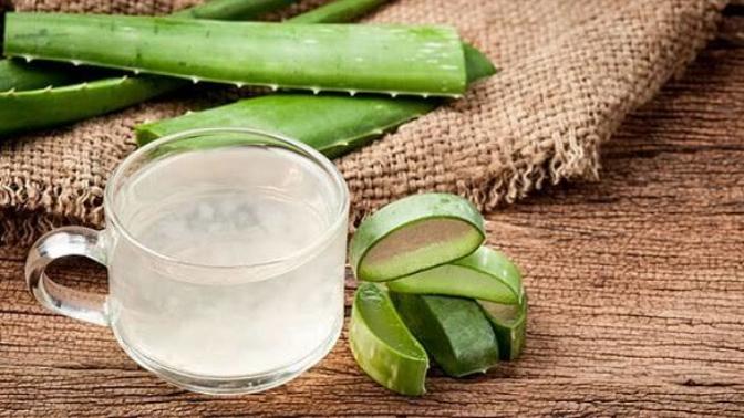 Doğanın Bize Hediyesi Aloe Vera Bitkisi ve Mucizeleri!