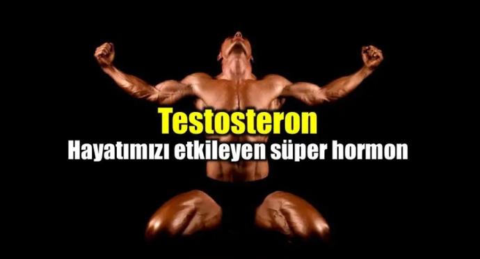 Güç ve şiddet