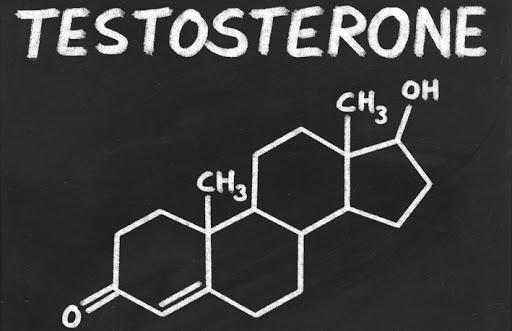 Testesteron