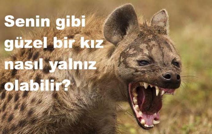 KSnin Birbirinden Renkli ve Komik Üye Profilleri!