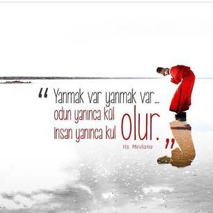 Ne &ccedil;ok his gelmiş ge&ccedil;miş kalbimden ..hayatı dolu dolu yaşak bu olsa gerek ..!