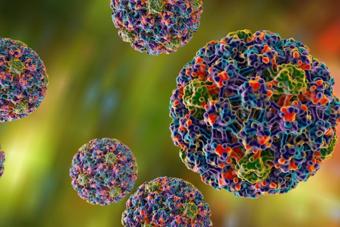 HPV Hakkında Bilmeniz Gereken Her Şey