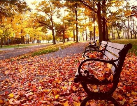 Moda Eleştirmenim Olur musun? Romantik Sonbaharın En Rahat Maxi Elbiselerini Sen Yorumla