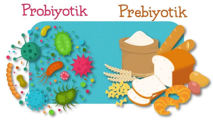 Güçlü Bir Bağışıklık Sistemi için Probiyotikli Çaylara Merhaba De!