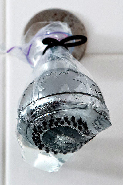 Jet Hızında Banyo Temizliği İçin Tüyolar