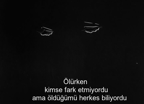 Sevmek bedava.. Bundan faydalanın.