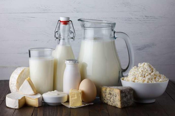 Bir Veteriner Hekimin Ağzından: Brusella Nedir?