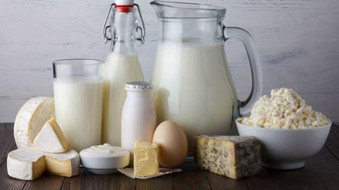 Bir Veteriner Hekimin Ağzından: Brusella Nedir?
