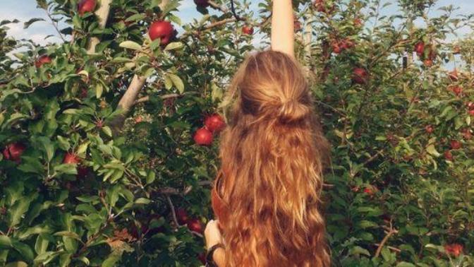Sağlıklı, Canlı ve Işıl Işıl Saçlara Sahip Olmanın Yolları Nelerdir?