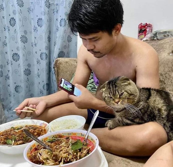 Sahibini Eşinden Kıskanan Kedinin Birbirinden Komik 10 Fotoğrafı!