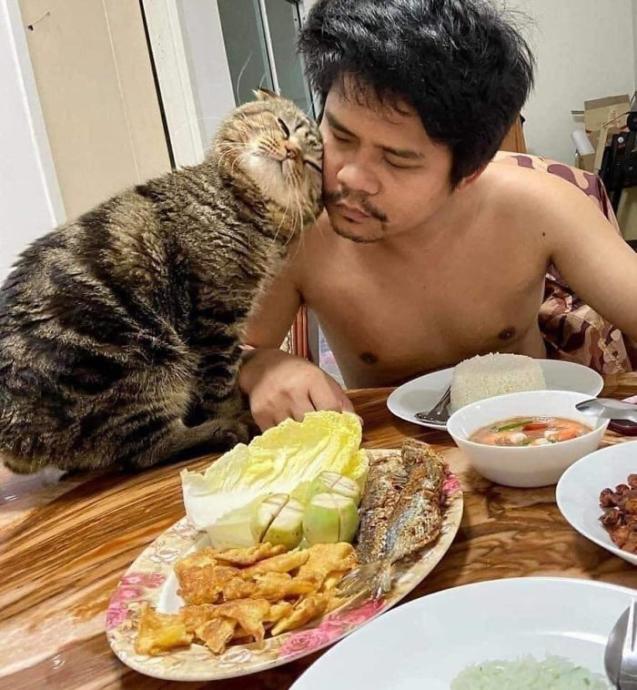 Sahibini Eşinden Kıskanan Kedinin Birbirinden Komik 10 Fotoğrafı!