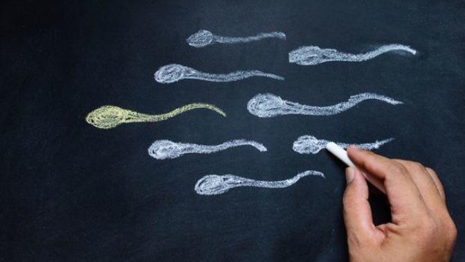Sperm Hakkında Doğru Bilinen Yanlışlar!
