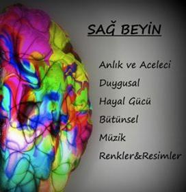 Kadın ve Erkek Arasındaki Beyinsel Farklar!