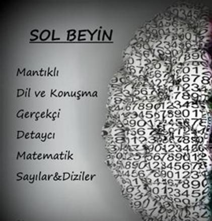 Kadın ve Erkek Arasındaki Beyinsel Farklar!