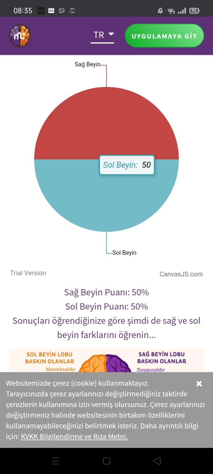 Kadın ve Erkek Arasındaki Beyinsel Farklar!
