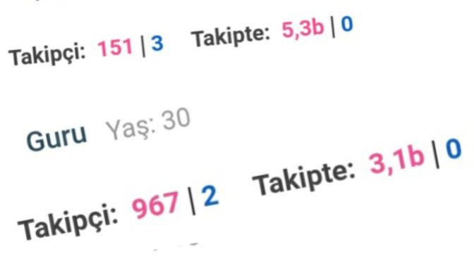 Sitede Takip ve Takipçisi ile Dikkat Çeken 9 Profil Çeşidi!