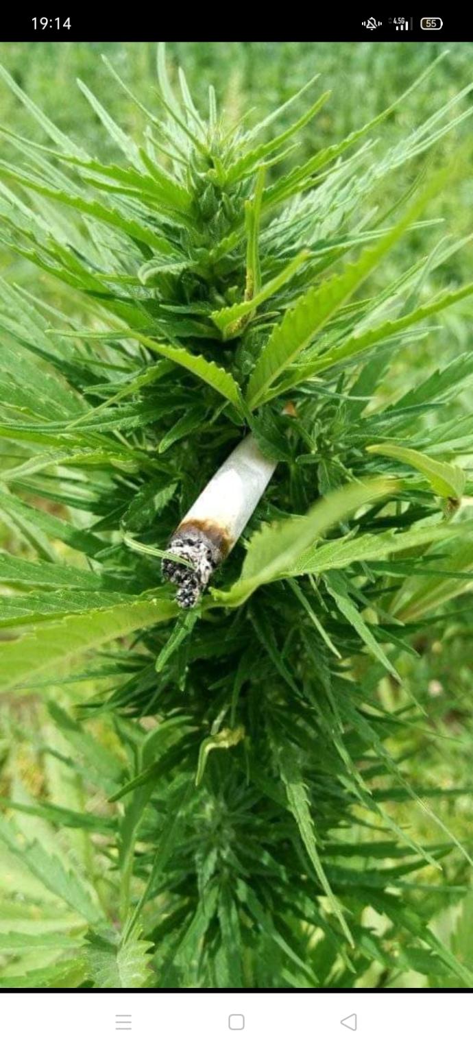 En Sevdiğim Popo Büyüten Egzersiz