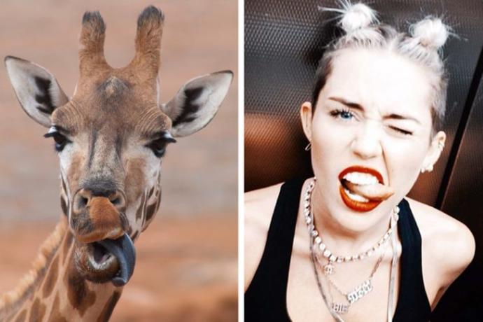 Miley