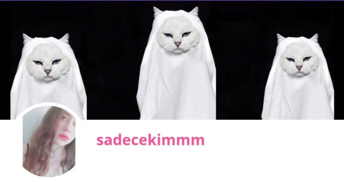 Tek Soru, Bir Ted ve Dört Trolcan! Sitede Neden Trol Takılıyorsunuz?