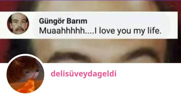 Tek Soru, Bir Ted ve Dört Trolcan! Sitede Neden Trol Takılıyorsunuz?