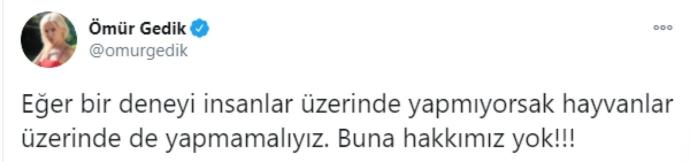 O; Dişiyle, Tırnağıyla, Kalbiyle Gerçek Bir Hayvansever: Haçiko Derneği Başkanı Ömür Gedikle Hayvan Dostlarımız Üzerine Konuştuk