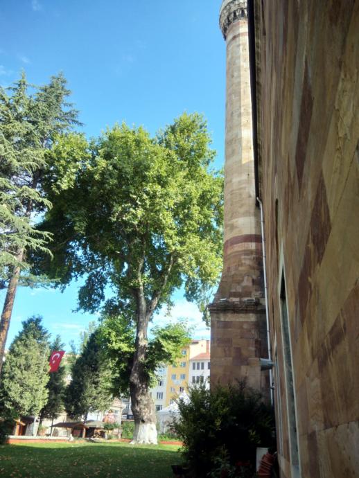 Pandemi Gölgesinde Yaz Tatilinden Kalma Fotoğraflar -1