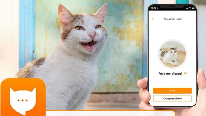 Kedi Sahiplerine Müjde! Kedinizin Ne Dediğini Anlamak için Uygulama Geliştirildi: MeowTalk