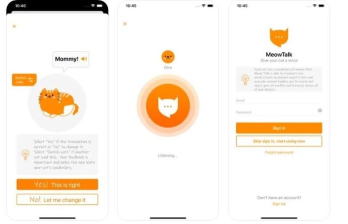 Kedi Sahiplerine Müjde! Kedinizin Ne Dediğini Anlamak için Uygulama Geliştirildi: MeowTalk