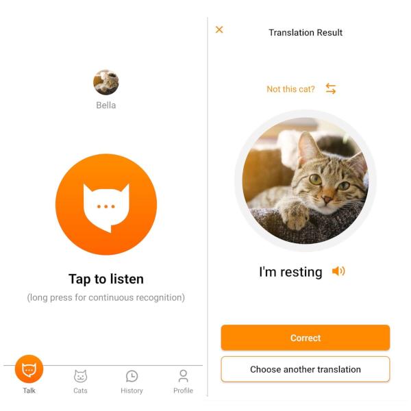 Kedi Sahiplerine Müjde! Kedinizin Ne Dediğini Anlamak için Uygulama Geliştirildi: MeowTalk