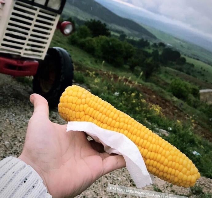 İstanbul-Kastamonu Arası Arabayla Gitmek Ne Kadar Sürer ve Ne Kadar Masraflı Olur?