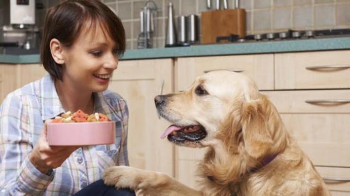 Köpeğinizi Neşelendirmek İçin Yapabilecekleriniz!