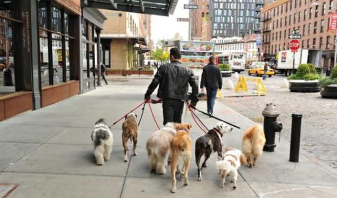 Köpeğinizi Neşelendirmek İçin Yapabilecekleriniz!