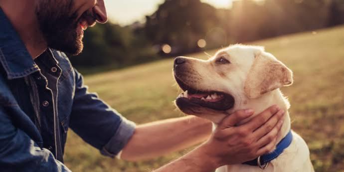 Köpeğinizi Neşelendirmek İçin Yapabilecekleriniz!