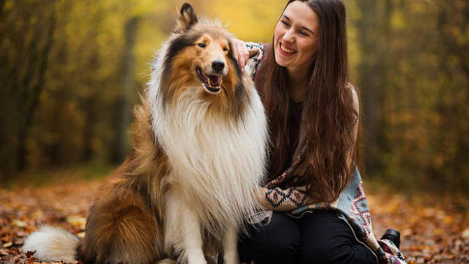 Köpeğinizi Neşelendirmek İçin Yapabilecekleriniz!