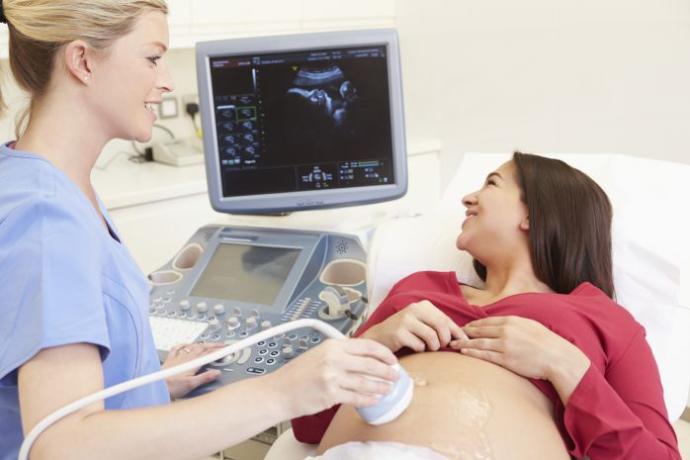 Hamileliğin En Heyecanlı Zamanları: İlk Trimester Dönemi!