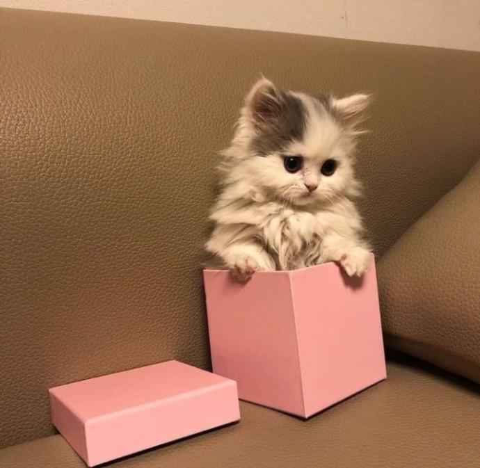❤️ ❤️ ❤️ ❤️ ❤️ ❤️