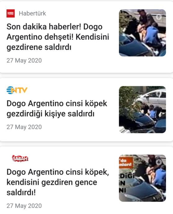 Dogo haberleri.