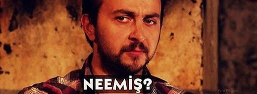 Hüzünlü Bir Veda Leyla ile Mecnun Haberin Var Mı? (2014)