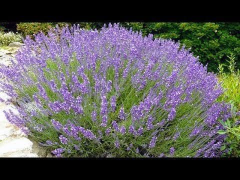 Saçınızın Dökülmesini Önlemek ve Uzaması İçin Yapılacaklar!